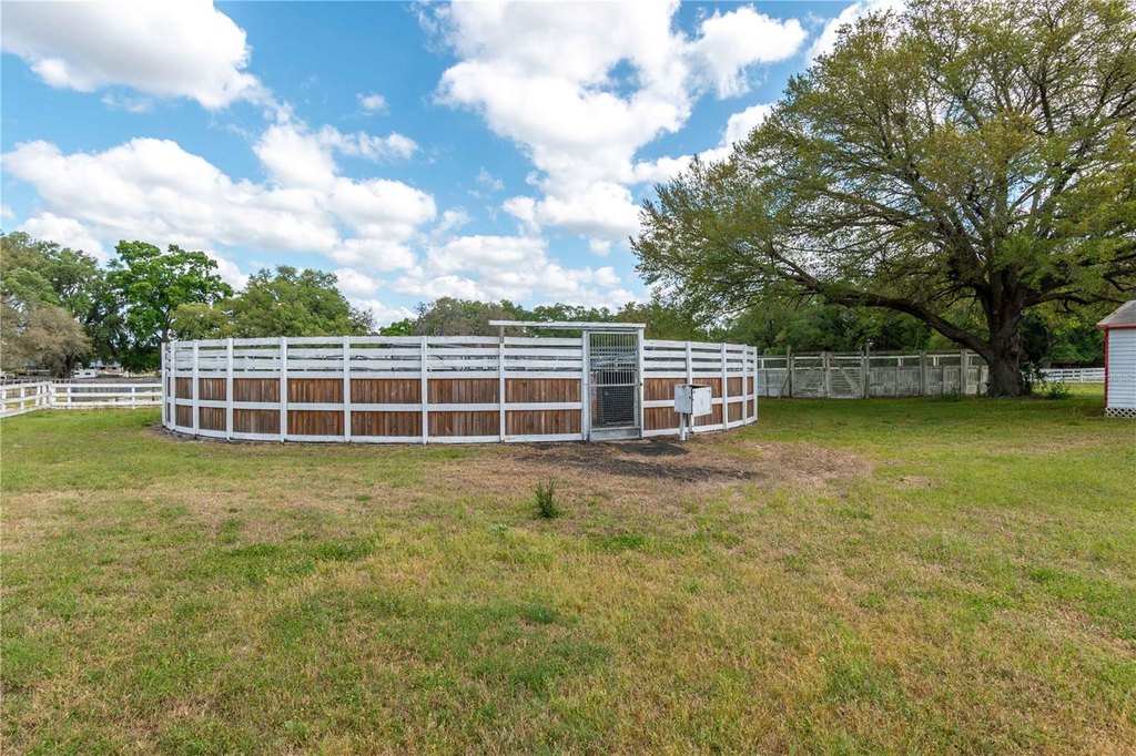 MORRISTON, Florida, 32668, United States, 5 Bedrooms Bedrooms, ,5 BathroomsBathrooms,Residential,Forsale,1903069