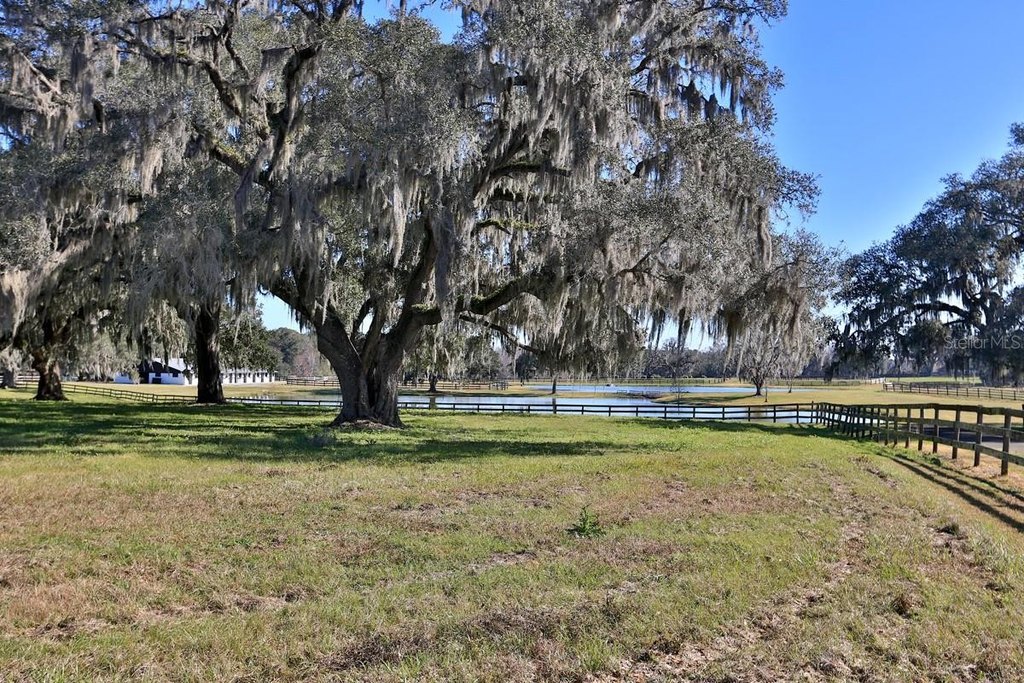 REDDICK, Florida, 32686, United States, 3 Bedrooms Bedrooms, ,2 BathroomsBathrooms,Residential,Forsale,1944501