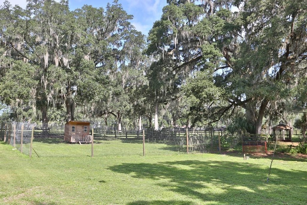 REDDICK, Florida, 32686, United States, 3 Bedrooms Bedrooms, ,2 BathroomsBathrooms,Residential,Forsale,1905399