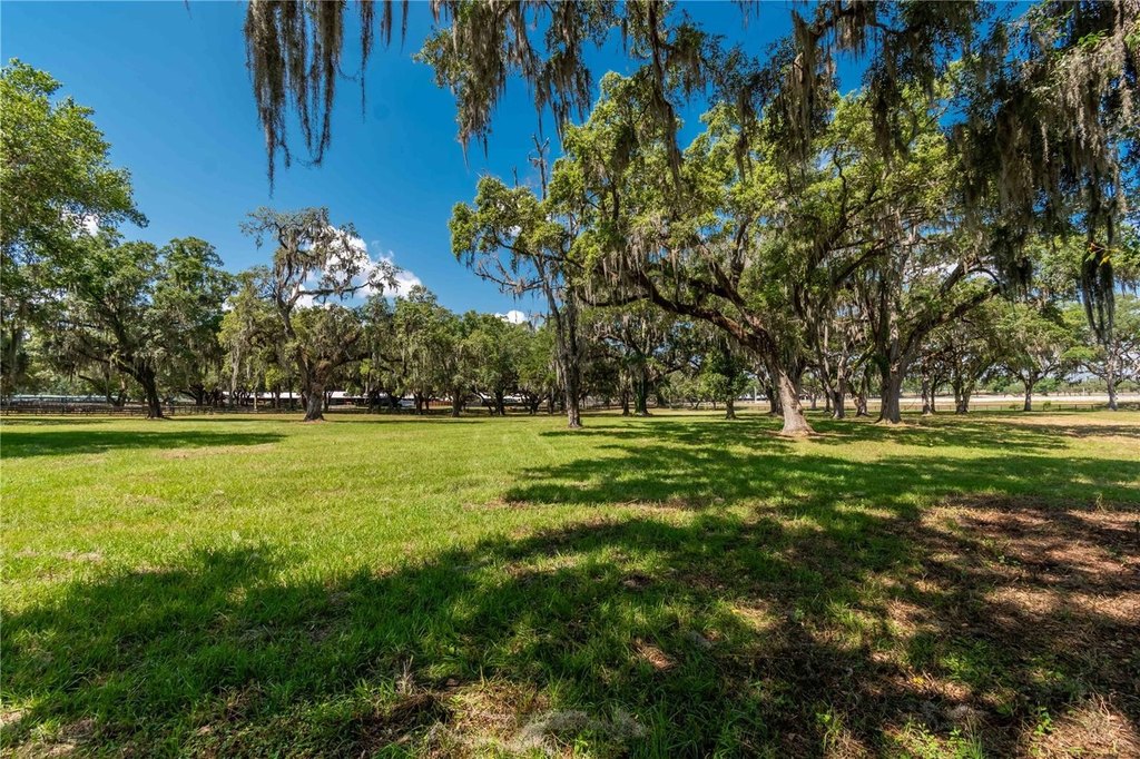 MORRISTON, Florida, 32668, United States, 1 Bedroom Bedrooms, ,1 BathroomBathrooms,Residential,Forsale,2003962