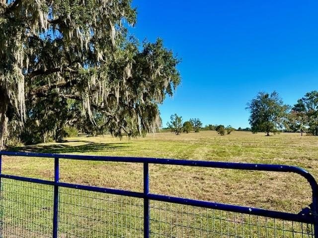 OCALA, Florida, 34482, United States, ,Land,Forsale,1967357
