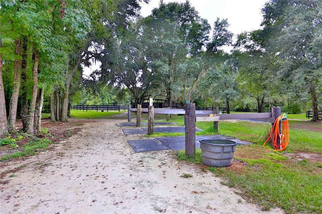 WILLISTON, Florida, 32696, United States, ,Commercial,Forsale,1959766