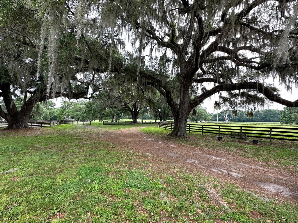 OCALA, Florida, 34482, United States, 4 Bedrooms Bedrooms, ,2.5 BathroomsBathrooms,Residential,Forsale,1884191