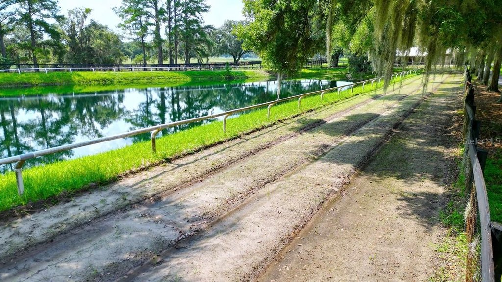 REDDICK, Florida, 32686, United States, 3 Bedrooms Bedrooms, ,2 BathroomsBathrooms,Residential,Forsale,1905399