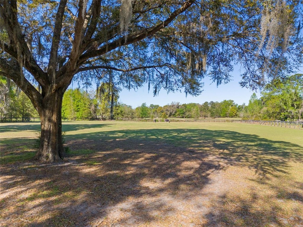 OCALA, Florida, 34482, United States, 3 Bedrooms Bedrooms, ,2 BathroomsBathrooms,Residential,Forsale,1905405