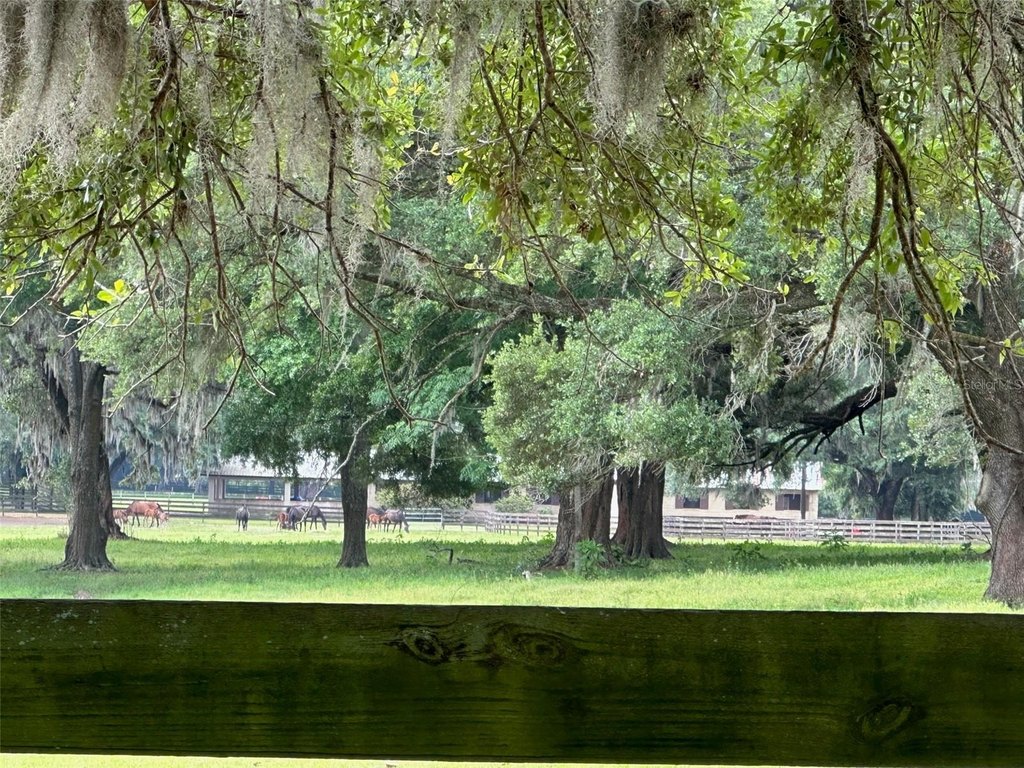 OCALA, Florida, 34482, United States, 4 Bedrooms Bedrooms, ,2.5 BathroomsBathrooms,Residential,Forsale,1884191