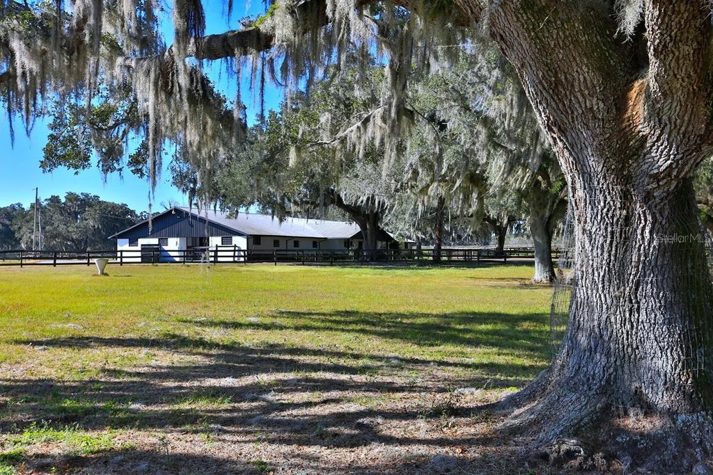 REDDICK, Florida, 32686, United States, 3 Bedrooms Bedrooms, ,2 BathroomsBathrooms,Residential,Forsale,1944501