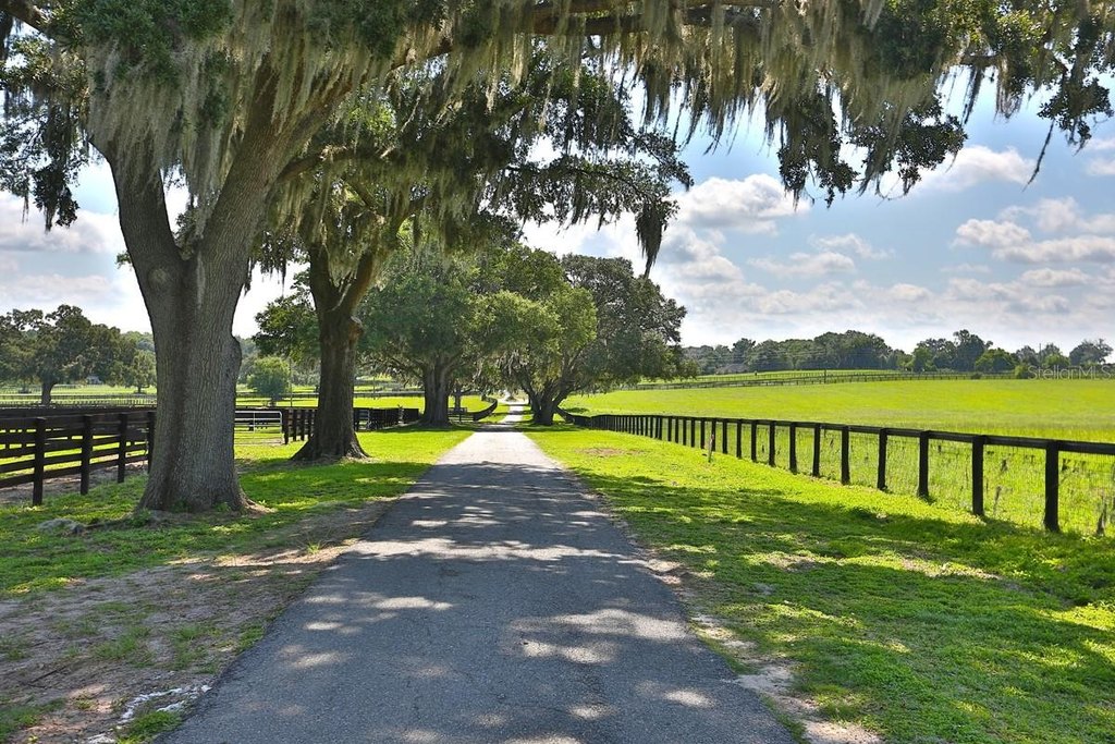 REDDICK, Florida, 32686, United States, 3 Bedrooms Bedrooms, ,2 BathroomsBathrooms,Residential,Forsale,1905399
