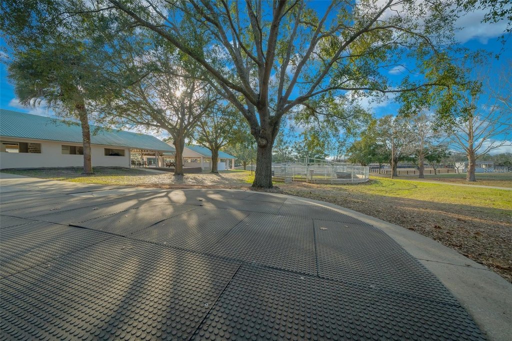 SUMMERFIELD, Florida, 34491, United States, 3 Bedrooms Bedrooms, ,2 BathroomsBathrooms,Residential,Forsale,2004001