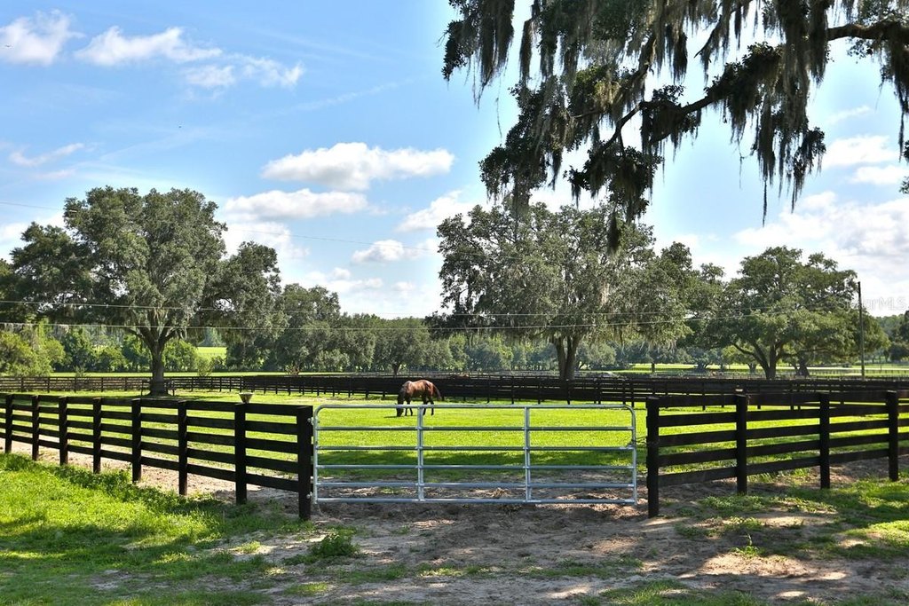 REDDICK, Florida, 32686, United States, 3 Bedrooms Bedrooms, ,2 BathroomsBathrooms,Residential,Forsale,1905399