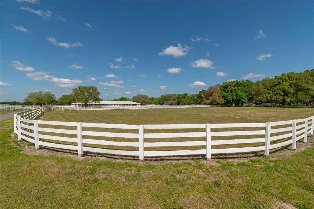 MORRISTON, Florida, 32668, United States, 5 Bedrooms Bedrooms, ,5 BathroomsBathrooms,Residential,Forsale,1903069