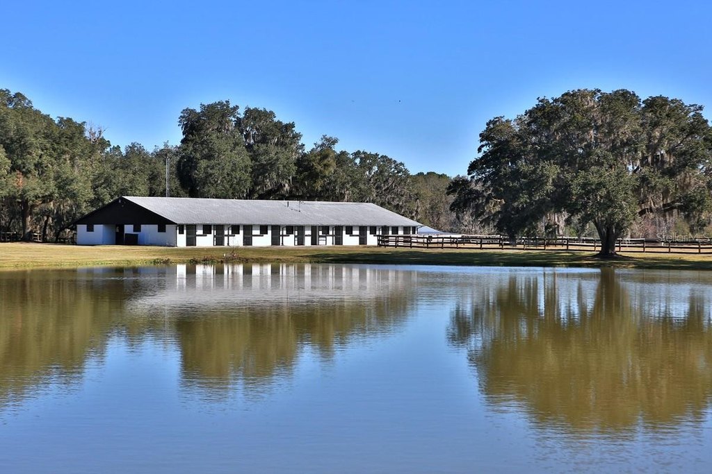 REDDICK, Florida, 32686, United States, 3 Bedrooms Bedrooms, ,2 BathroomsBathrooms,Residential,Forsale,1944501