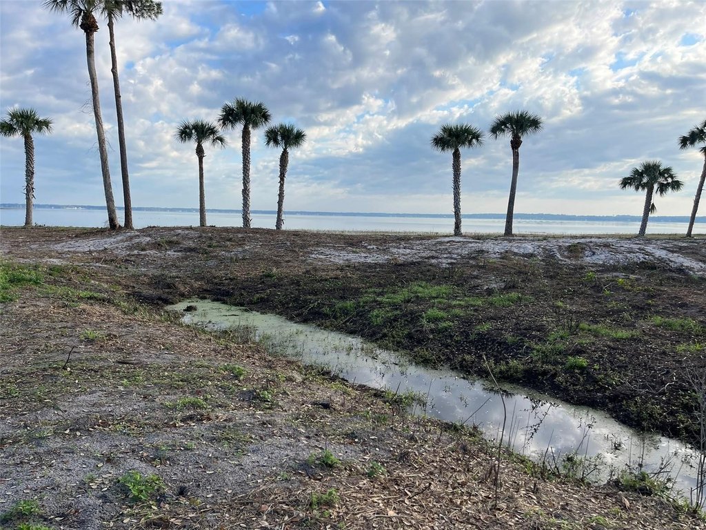 WEIRSDALE, Florida, 32195, United States, 2 Bedrooms Bedrooms, ,2 BathroomsBathrooms,Residential,Forsale,1969791