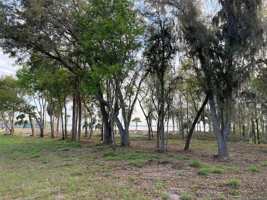 WEIRSDALE, Florida, 32195, United States, 2 Bedrooms Bedrooms, ,2 BathroomsBathrooms,Residential,Forsale,1969791