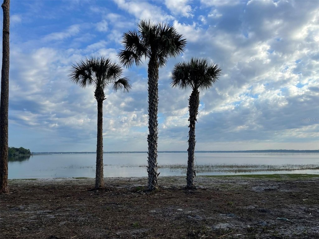 WEIRSDALE, Florida, 32195, United States, 2 Bedrooms Bedrooms, ,2 BathroomsBathrooms,Residential,Forsale,1969791