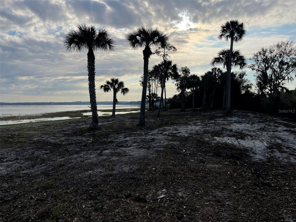 WEIRSDALE, Florida, 32195, United States, 2 Bedrooms Bedrooms, ,2 BathroomsBathrooms,Residential,Forsale,1969791