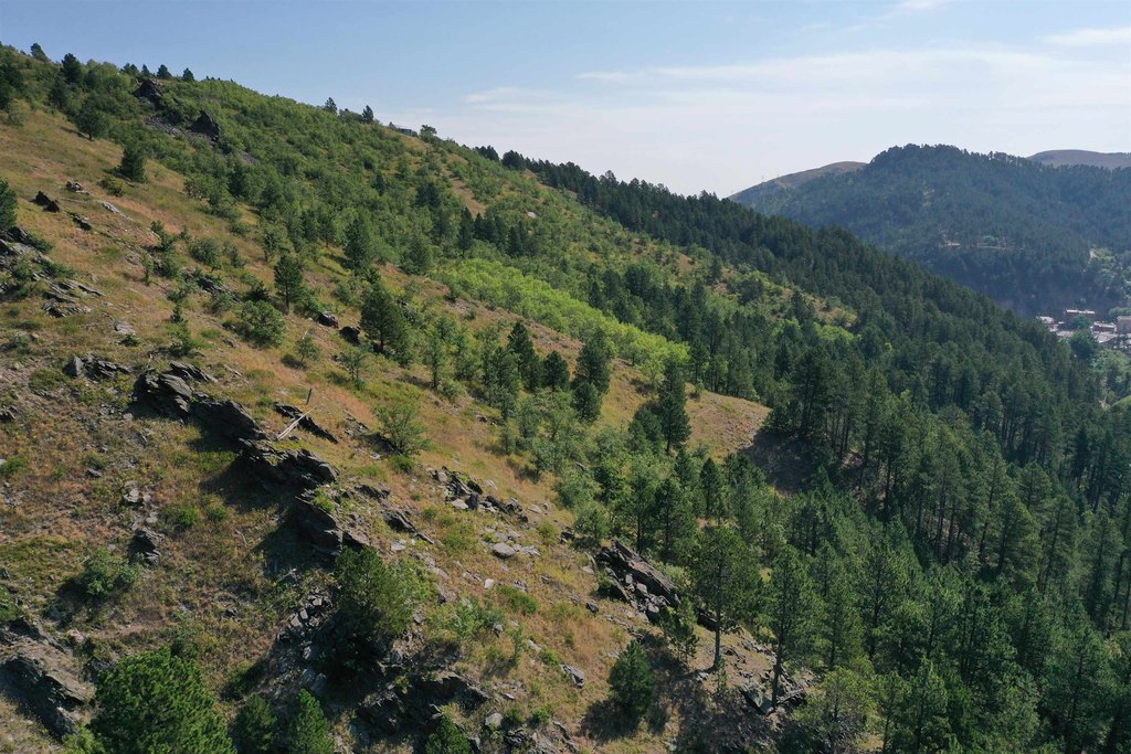 Deadwood, South Dakota, 57732, United States, ,Land,Forsale,2011086