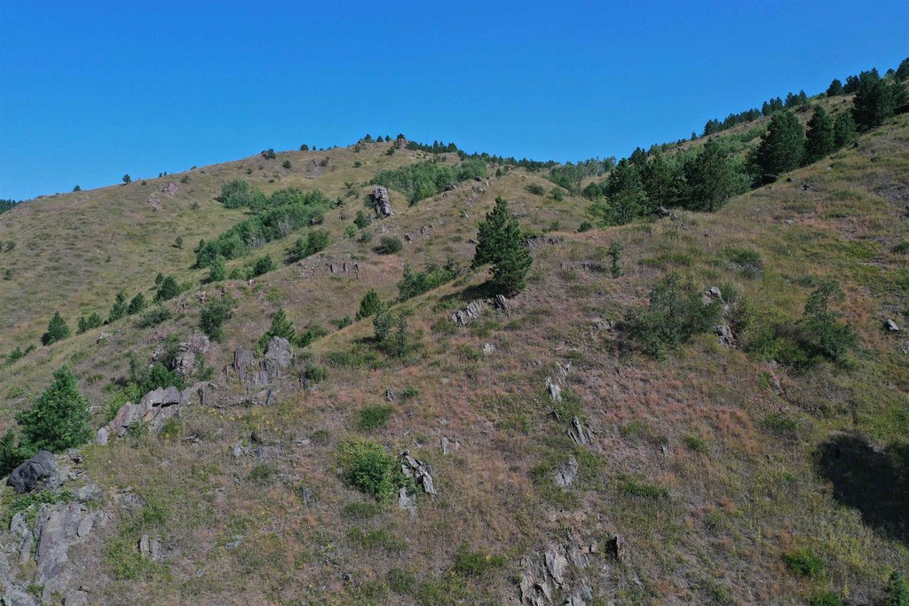 Deadwood, South Dakota, 57732, United States, ,Land,Forsale,2011086