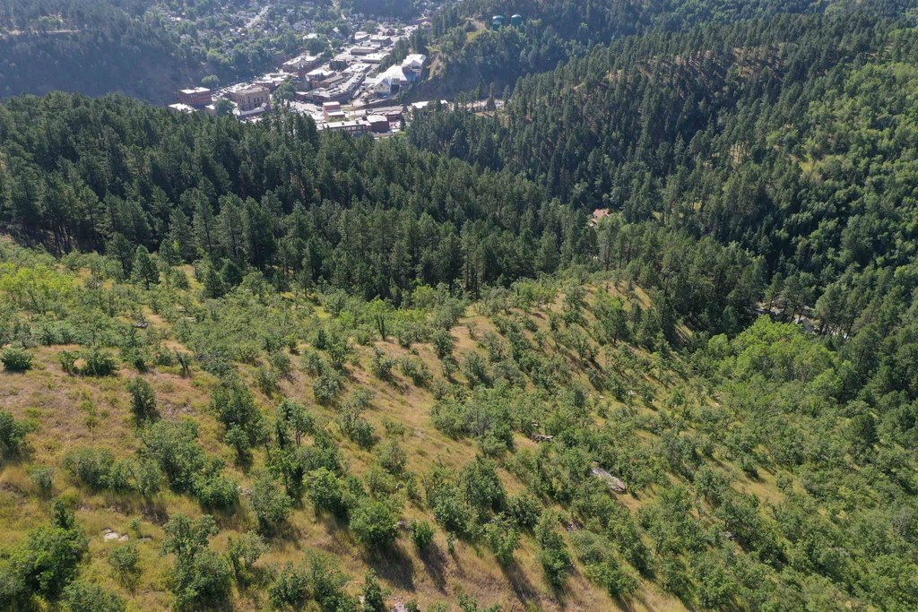 Deadwood, South Dakota, 57732, United States, ,Land,Forsale,2011086