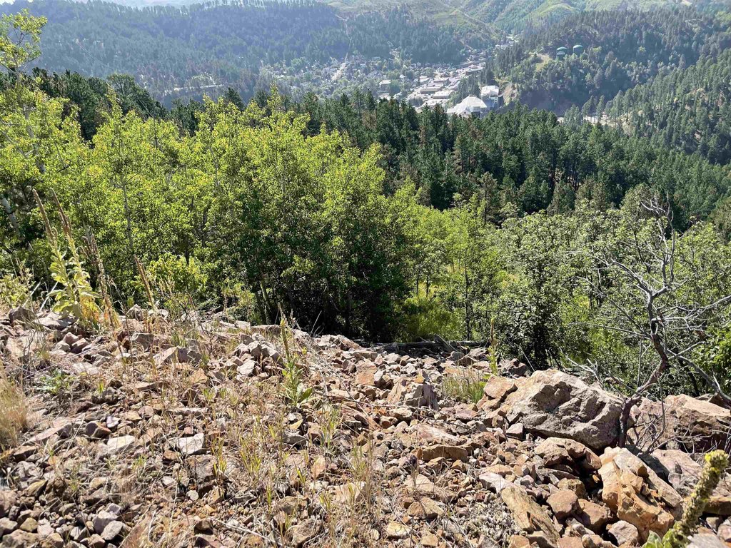 Deadwood, South Dakota, 57732, United States, ,Land,Forsale,2011086