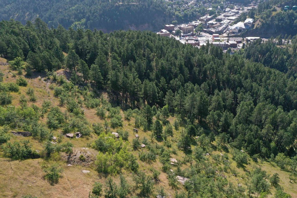 Deadwood, South Dakota, 57732, United States, ,Land,Forsale,2011086
