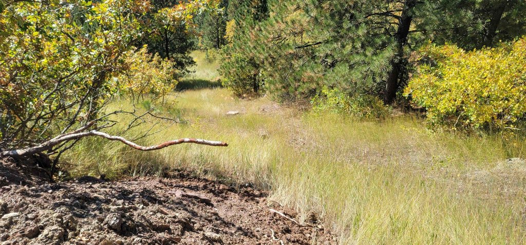 Deadwood, South Dakota, 57732, United States, ,Land,Forsale,2011086