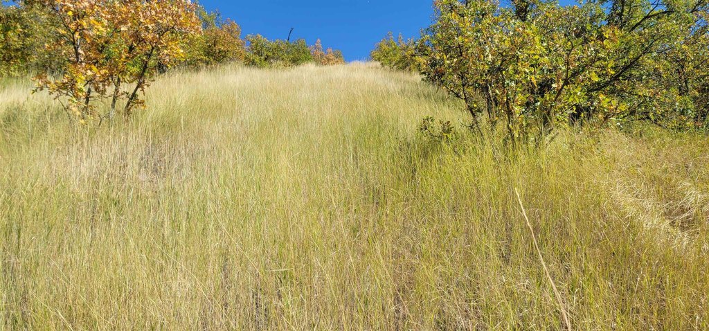 Deadwood, South Dakota, 57732, United States, ,Land,Forsale,2011086