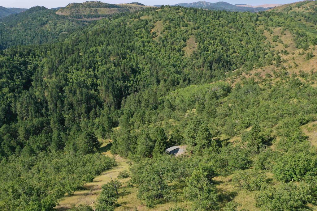 Deadwood, South Dakota, 57732, United States, ,Land,Forsale,2011086