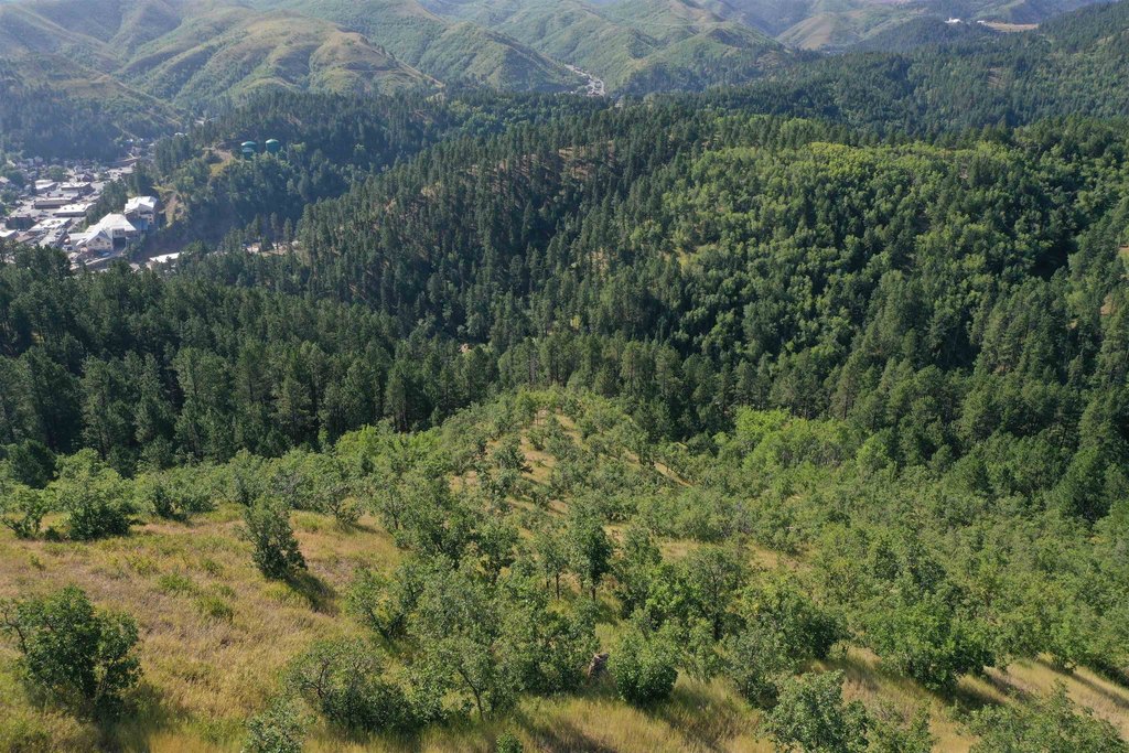 Deadwood, South Dakota, 57732, United States, ,Land,Forsale,2011086