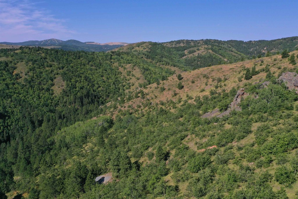 Deadwood, South Dakota, 57732, United States, ,Land,Forsale,2011086