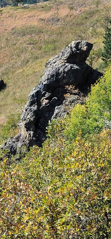Deadwood, South Dakota, 57732, United States, ,Land,Forsale,2011086
