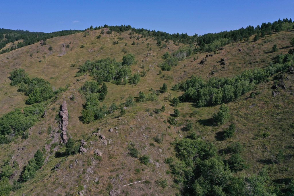 Deadwood, South Dakota, 57732, United States, ,Land,Forsale,2011086