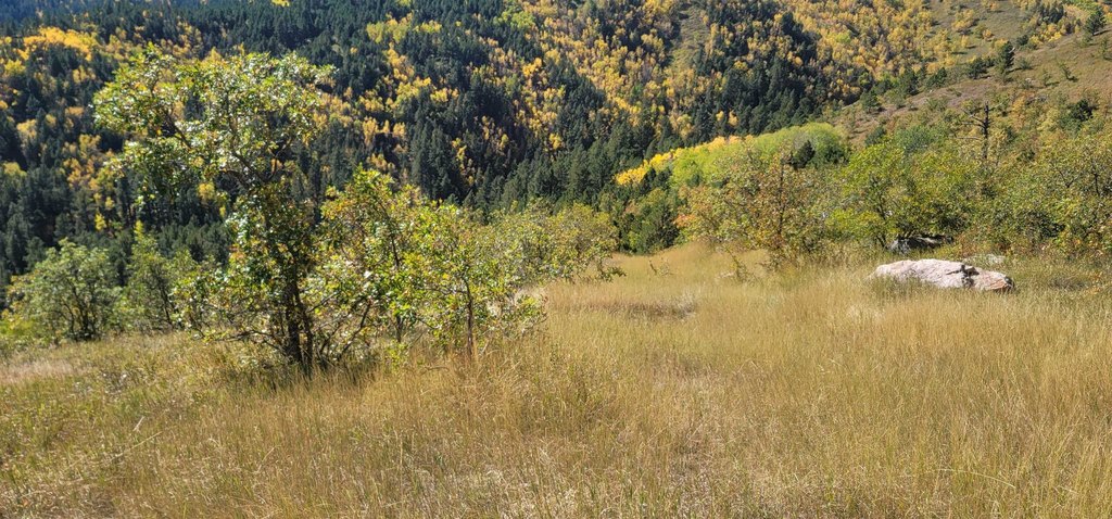 Deadwood, South Dakota, 57732, United States, ,Land,Forsale,2011086