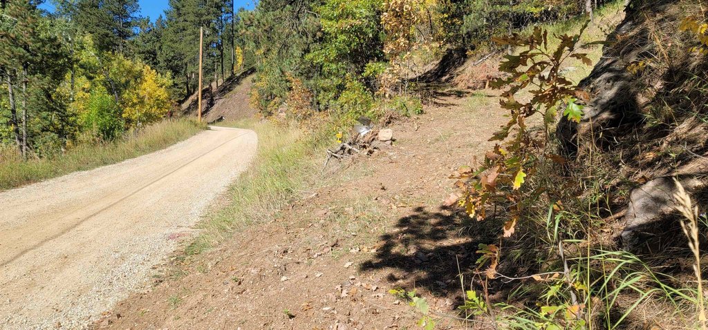 Deadwood, South Dakota, 57732, United States, ,Land,Forsale,2011086