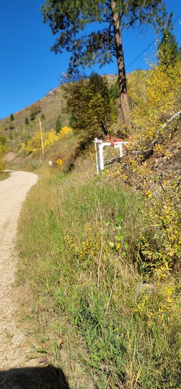 Deadwood, South Dakota, 57732, United States, ,Land,Forsale,2011086