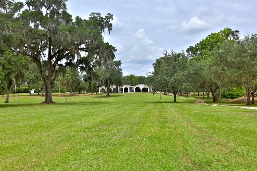 OCALA, Florida, 34480, United States, 3 Bedrooms Bedrooms, ,3 BathroomsBathrooms,Residential,Forsale,1944502