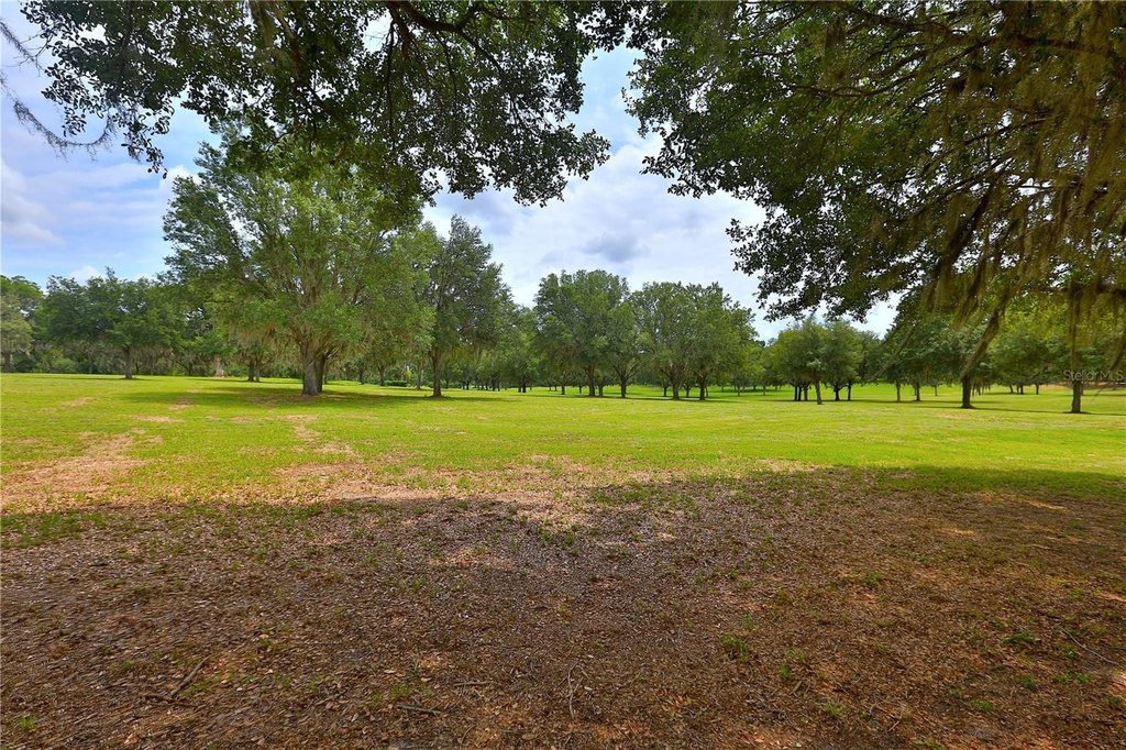 OCALA, Florida, 34480, United States, ,Land,Forsale,1944503