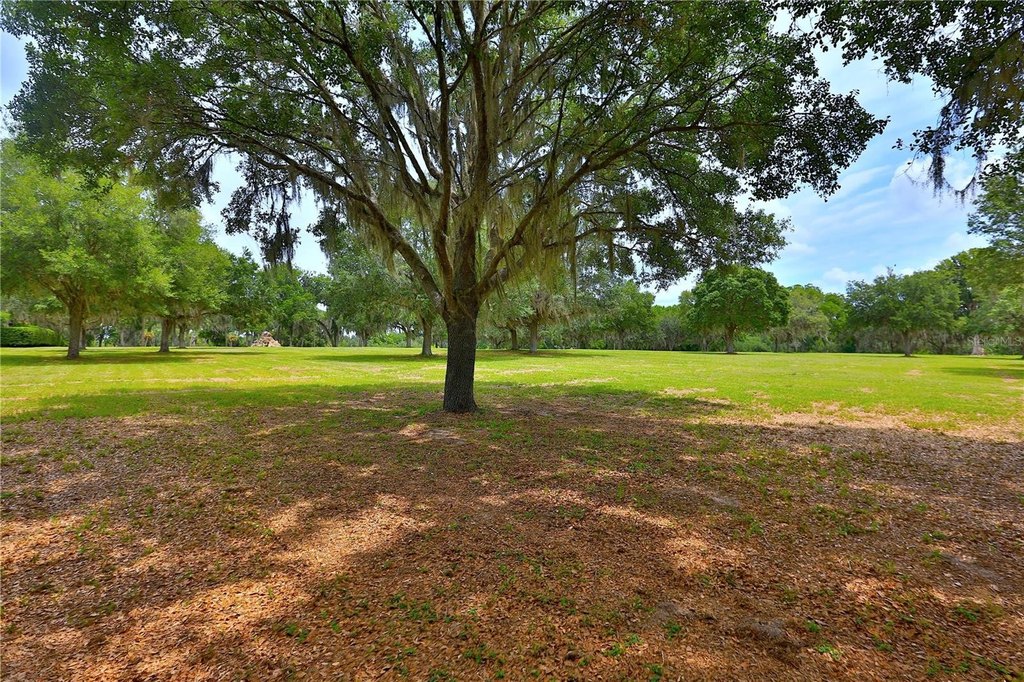 OCALA, Florida, 34480, United States, ,Land,Forsale,1944503