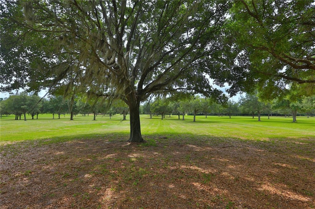 OCALA, Florida, 34480, United States, ,Land,Forsale,1944503