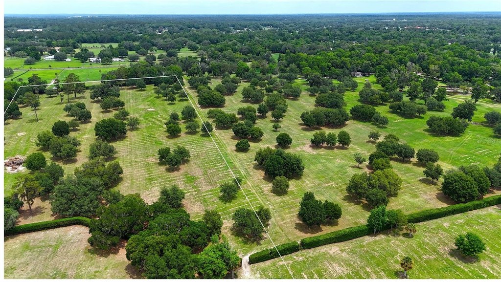 OCALA, Florida, 34480, United States, ,Land,Forsale,1944503