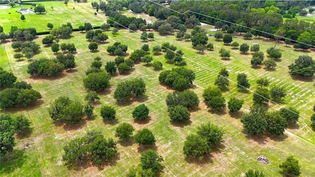 OCALA, Florida, 34480, United States, ,Land,Forsale,1944503