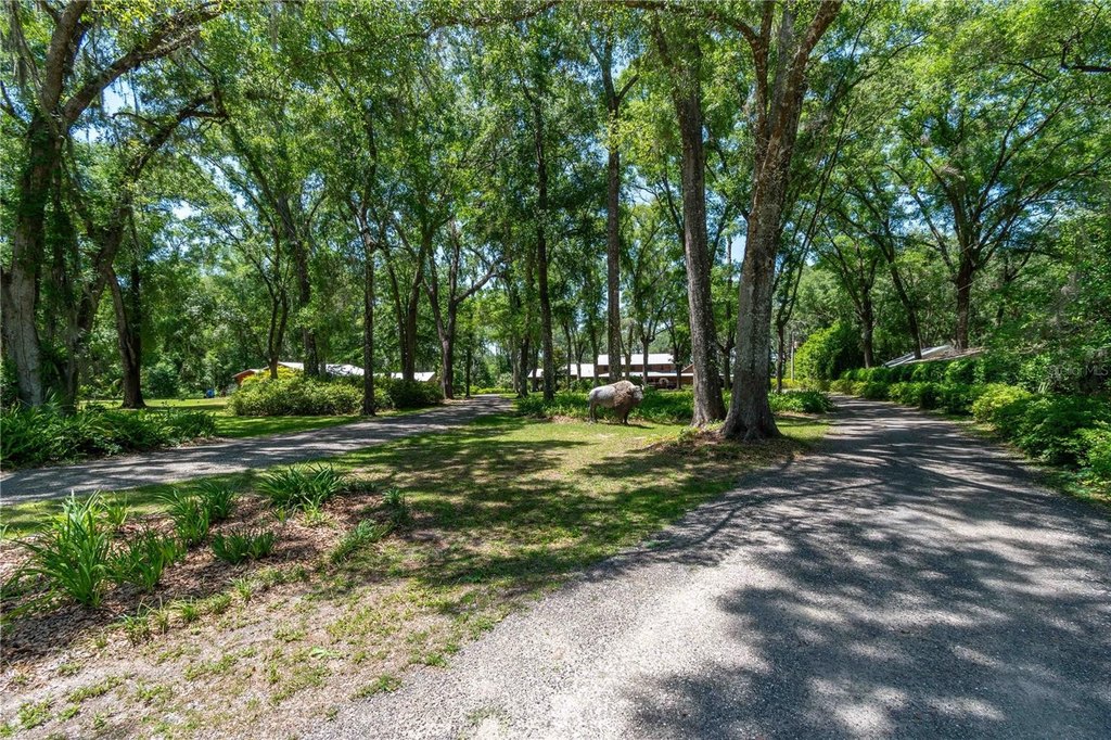 HAWTHORNE, Florida, 32640, United States, 5 Bedrooms Bedrooms, ,4 BathroomsBathrooms,Residential,Forsale,2009450