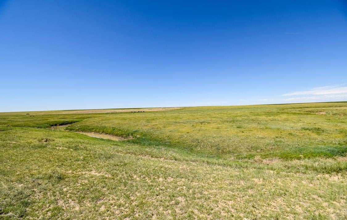 Woodrow, Colorado, 80757, United States, 4 Bedrooms Bedrooms, ,5.5 BathroomsBathrooms,Land,Forsale,1926806