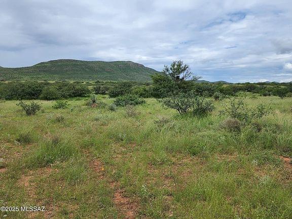 Tombstone, Arizona, 85638, United States, ,Land,Forsale,1893863