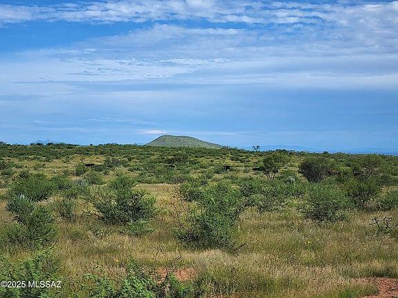 Tombstone, Arizona, 85638, United States, ,Land,Forsale,1893863