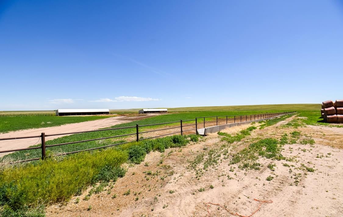 Woodrow, Colorado, 80757, United States, 4 Bedrooms Bedrooms, ,5.5 BathroomsBathrooms,Land,Forsale,1926806