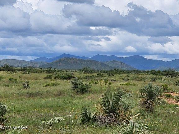Tombstone, Arizona, 85638, United States, ,Land,Forsale,1893863