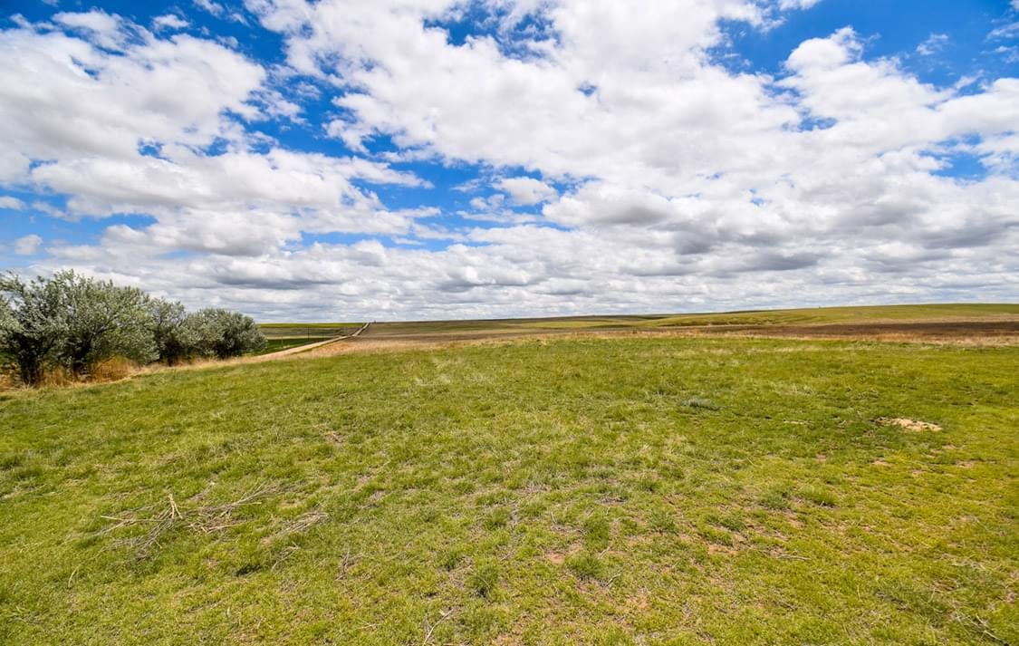 Woodrow, Colorado, 80757, United States, 4 Bedrooms Bedrooms, ,5.5 BathroomsBathrooms,Land,Forsale,1926806