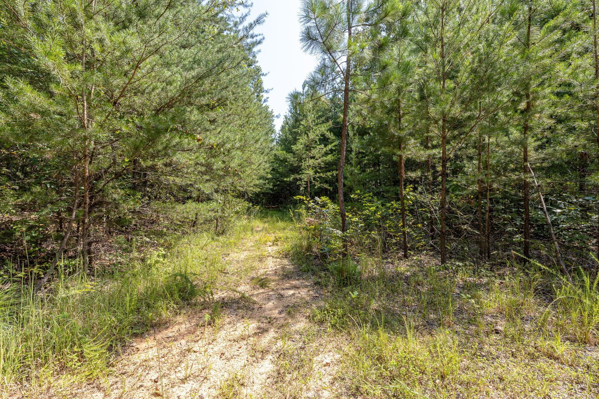 Dunlap, Tennessee, 37327, United States, ,Land,Forsale,1894446