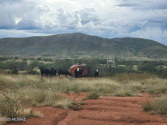 Tombstone, Arizona, 85638, United States, ,Land,Forsale,1893863